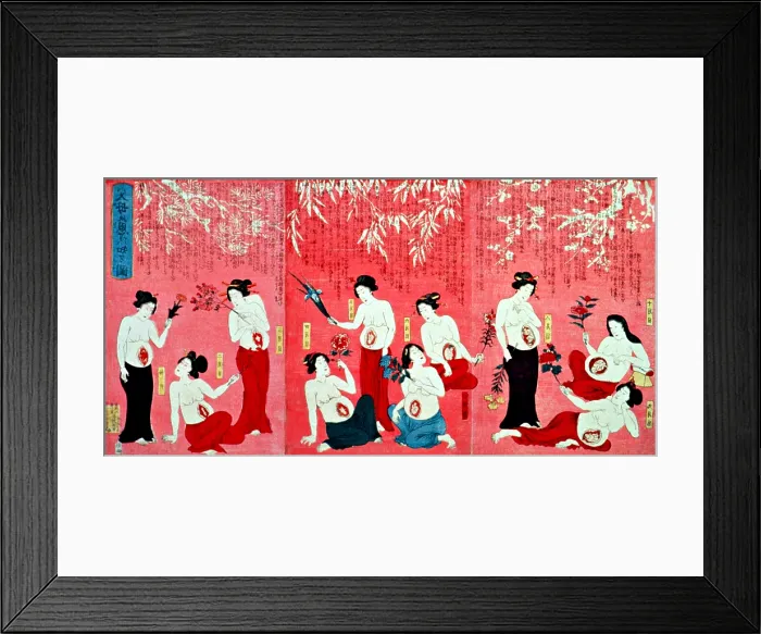 Framed Print : Japanese Triptych, Development of Fetus Framed Print : Japanese Triptych, Development of Fetus