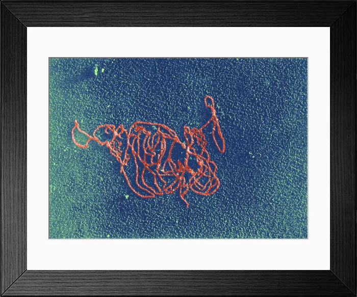 Framed Print : Polymerase Reaction, DNA with E. coli RNA, TEM