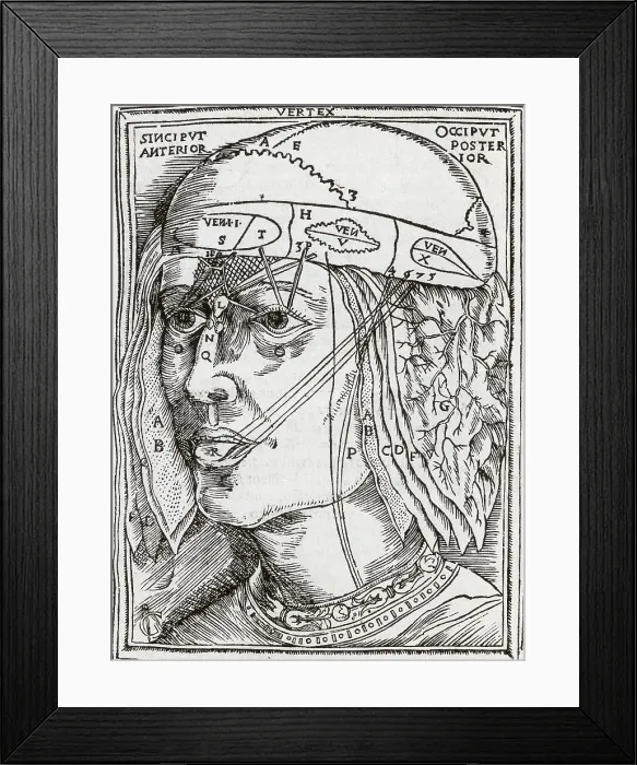 Framed Print : Layers of the Brain Framed Print : Layers of the Brain