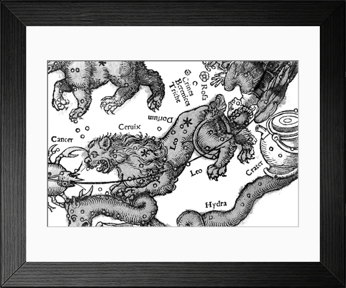 Framed Print : Leo Constellation, Zodiac Sign, Apianus, 1529 Framed Print : Leo Constellation, Zodiac Sign, Apianus, 1529