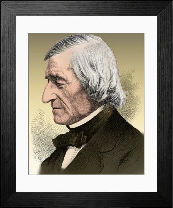 Framed Print : William Rogers, American Geologist and Educator Framed Print : William Rogers, American Geologist and Educator