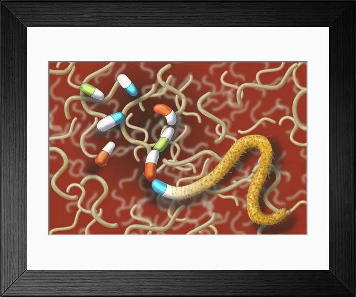 Framed Print : Antibiotic Resistant Bacteria, Illustration Framed Print : Antibiotic Resistant Bacteria, Illustration