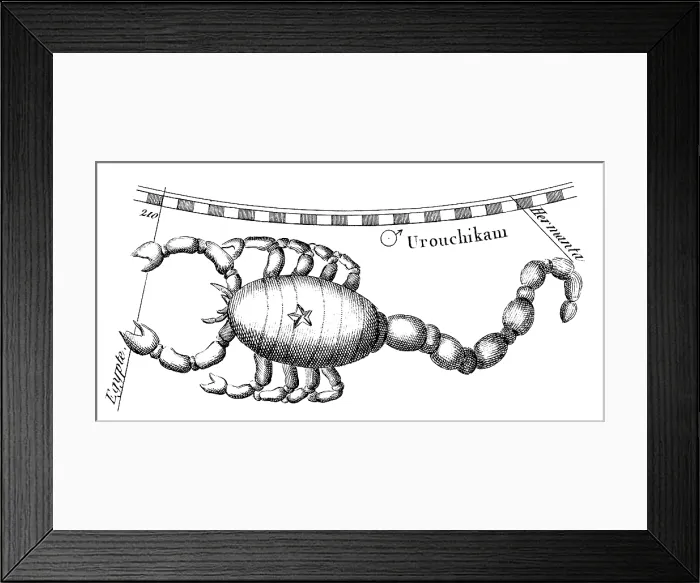 Framed Print : Scorpius Constellation, Zodiacal Sign Framed Print : Scorpius Constellation, Zodiacal Sign