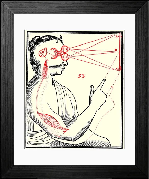 Framed Print : Rene Descartes, Vision and External Stimuli Framed Print : Rene Descartes, Vision and External Stimuli