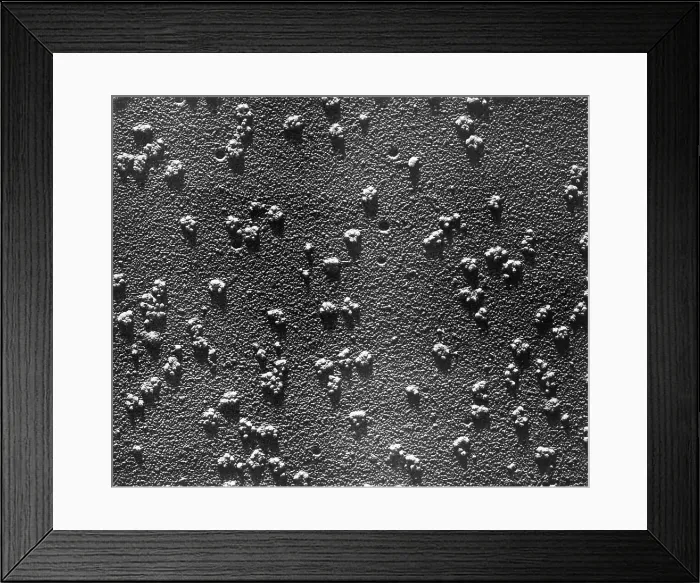 Framed Print : Immature RBCs, Reticulocyte Polyribosomes, TEM Framed Print : Immature RBCs, Reticulocyte Polyribosomes, TEM
