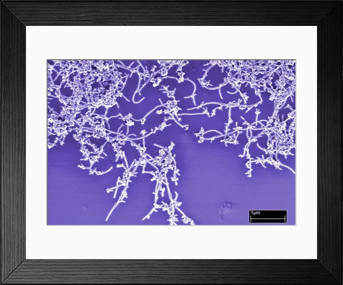 Framed Print : Carbon Nanotubes Framed Print : Carbon Nanotubes