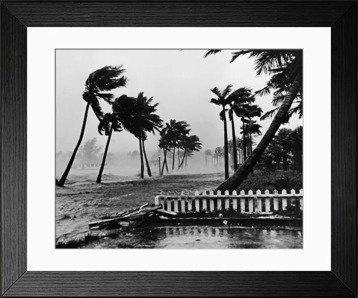 Framed Print : Palm Beach hurricane, 1949
