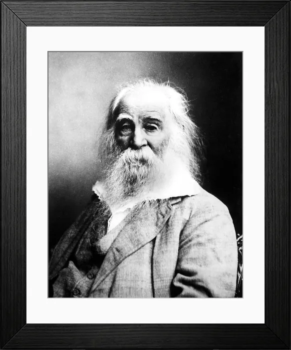 Framed Print : Walt Whitman, American Poet Framed Print : Walt Whitman, American Poet