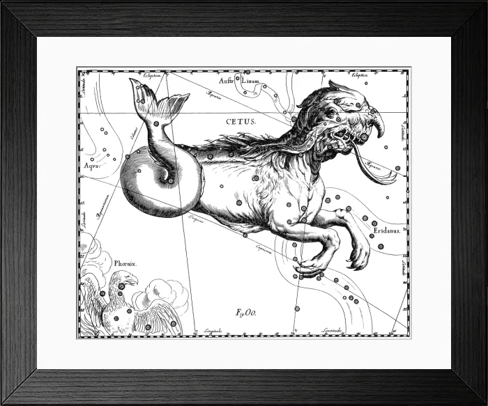 Framed Print : Cetus Constellation, Hevelius, 1687 Framed Print : Cetus Constellation, Hevelius, 1687