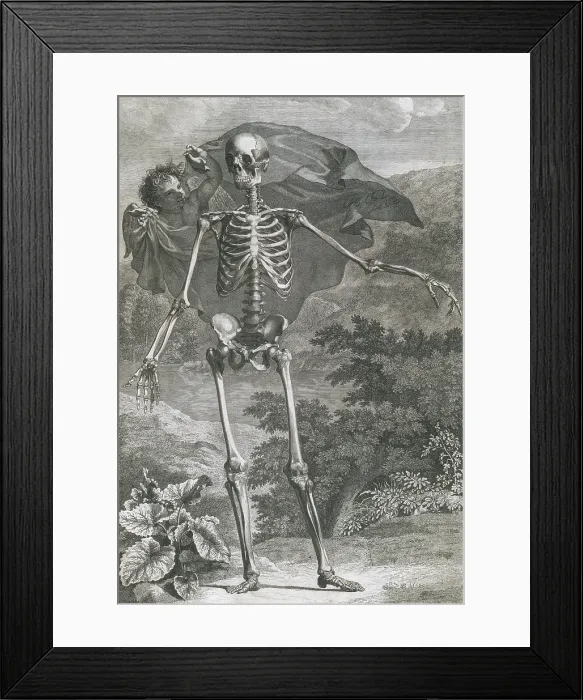 Framed Print : Danse Macabre, 1749 Framed Print : Danse Macabre, 1749