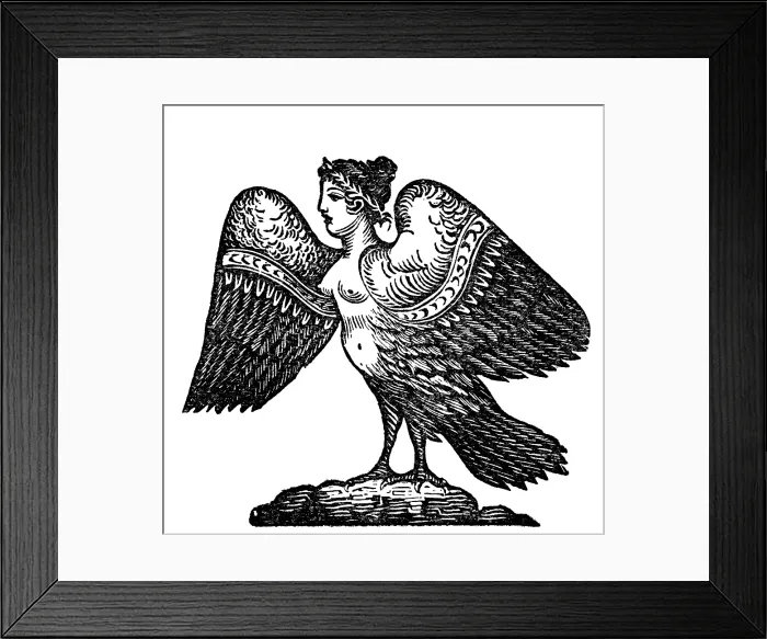 Framed Print : Harpy, Legendary Creature