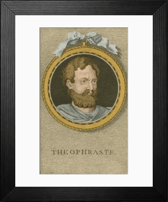 Framed Print : Theophrastus, Ancient Greek Polymath Framed Print : Theophrastus, Ancient Greek Polymath