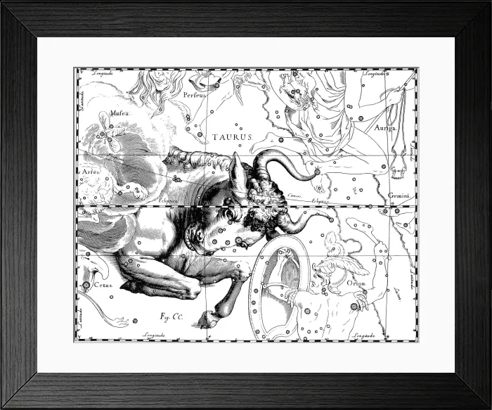 Framed Print : Taurus Constellation, Zodiac Sign, Hevelius Framed Print : Taurus Constellation, Zodiac Sign, Hevelius