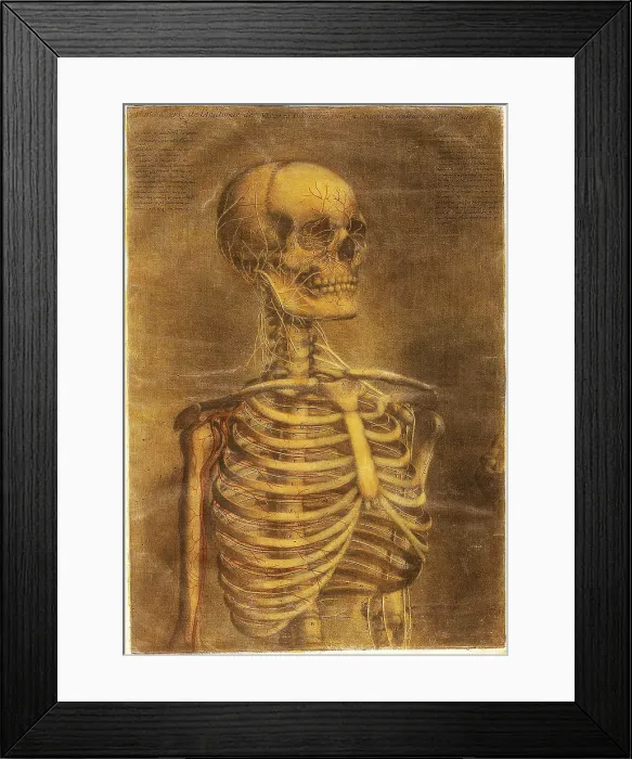 Framed Print : Anatomie Generale Des Visceres