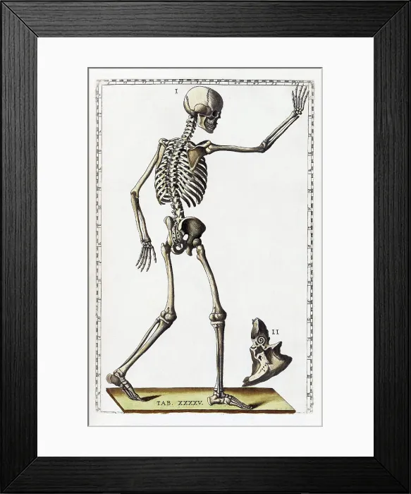 Framed Print : Eustachi, 'Tabulae anatomicae', 1783
