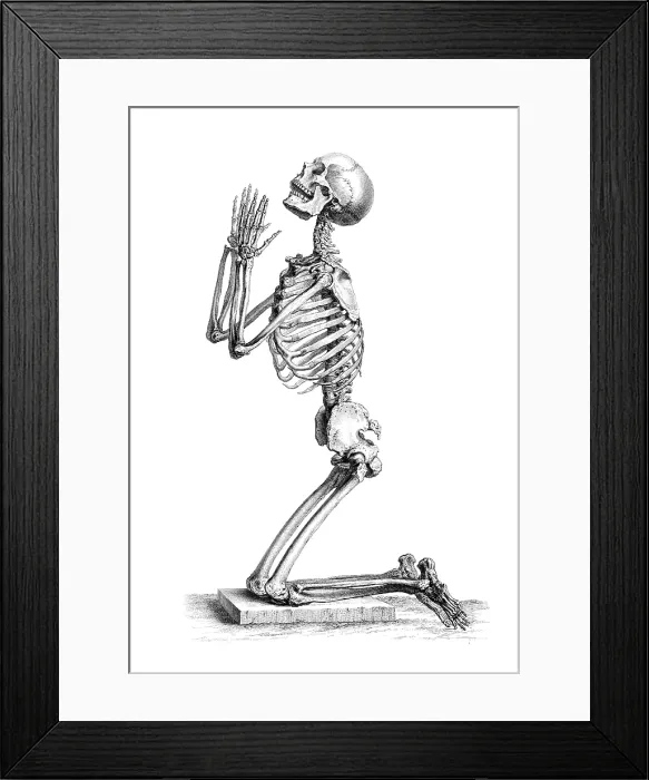 Framed Print : William Cheselden, 'Osteographia', 1733 Framed Print : William Cheselden, 'Osteographia', 1733