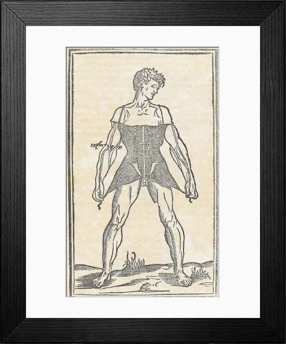 Framed Print : Jacopo Berengario da Carpi, Anatomy Framed Print : Jacopo Berengario da Carpi, Anatomy