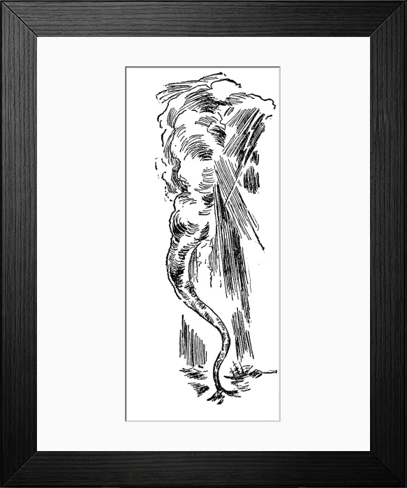 Framed Print : Waterspout, 1882