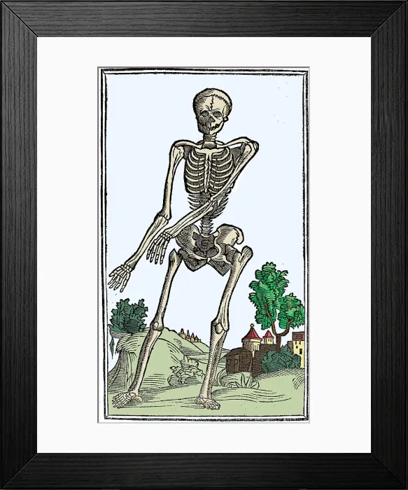 Framed Print : Jacopo Berengario da Carpi, Anatomy Framed Print : Jacopo Berengario da Carpi, Anatomy