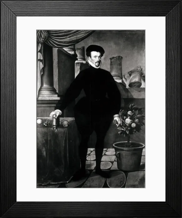 Framed Print : Felix Plater, Swiss Physician Framed Print : Felix Plater, Swiss Physician