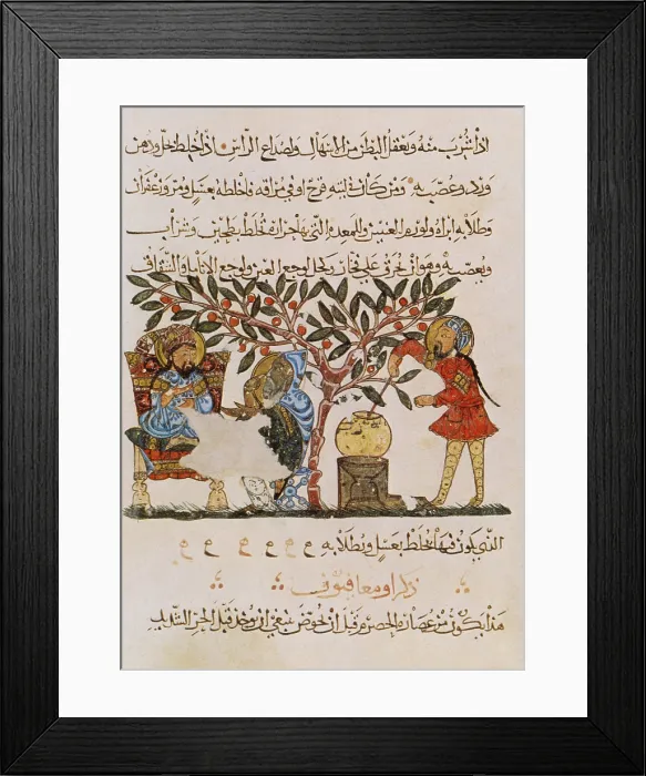 Framed Print : Dioscorides, 'De Materia Medica', 13th Century Framed Print : Dioscorides, 'De Materia Medica', 13th Century