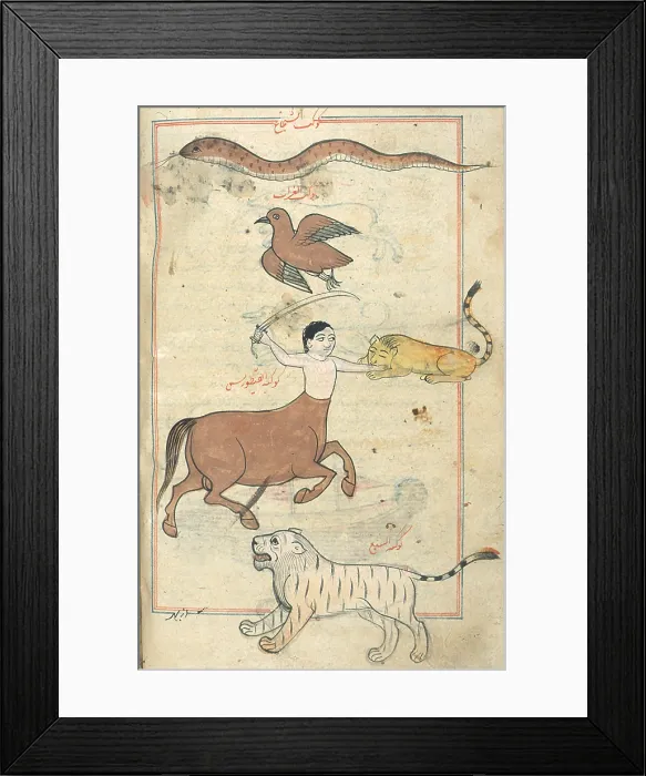 Framed Print : Hydra, Corvus, Centaurus and Lupus Constellations Framed Print : Hydra, Corvus, Centaurus and Lupus Constellations