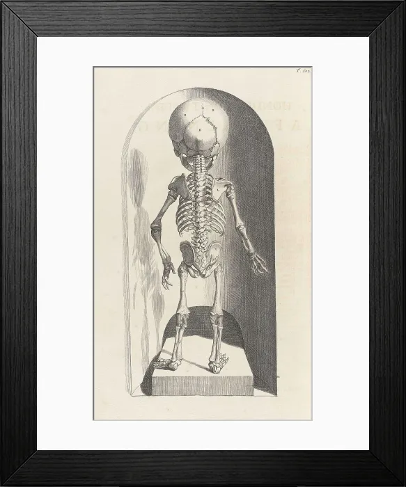 Framed Print : Anatomia humani corporis, Table 102, 1690 Framed Print : Anatomia humani corporis, Table 102, 1690