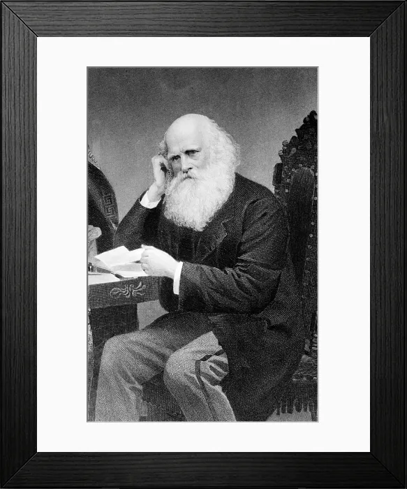 Framed Print : William Cullen Bryant, American Poet and Editor Framed Print : William Cullen Bryant, American Poet and Editor
