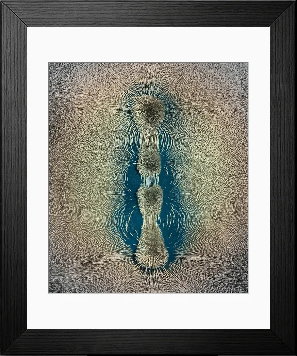 Framed Print : Magnetic Field Framed Print : Magnetic Field