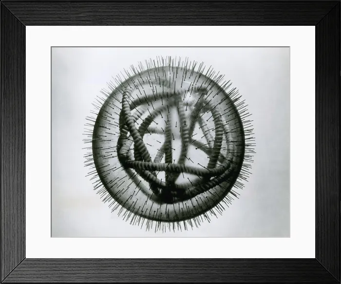 Framed Print : MeV, Measles Virus Framed Print : MeV, Measles Virus