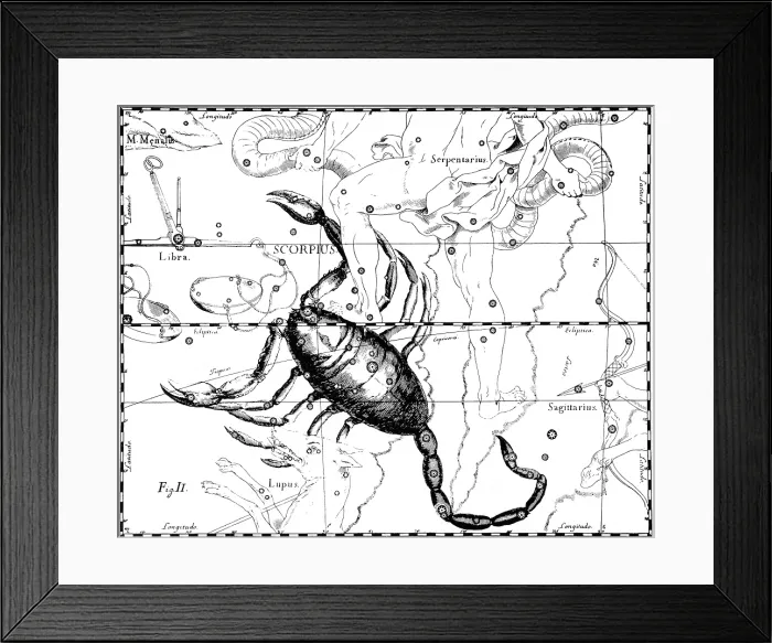 Framed Print : Scorpius Constellation, Zodiac Sign, Hevelius Framed Print : Scorpius Constellation, Zodiac Sign, Hevelius