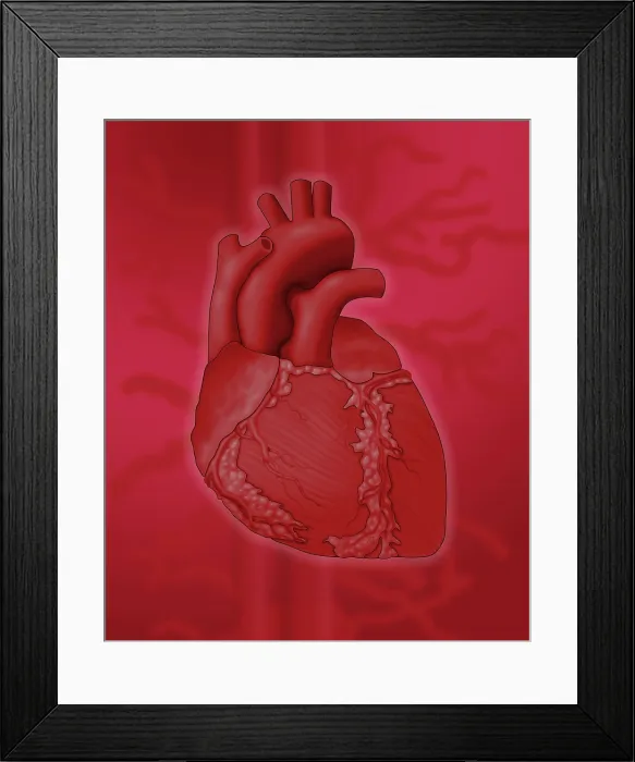 Framed Print : Human Heart Framed Print : Human Heart