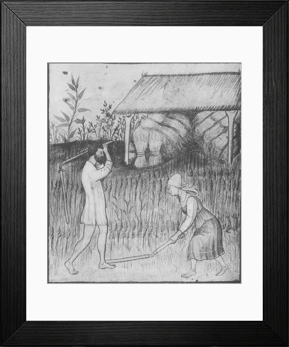 Framed Print : Agriculture, Medieval Farming Framed Print : Agriculture, Medieval Farming