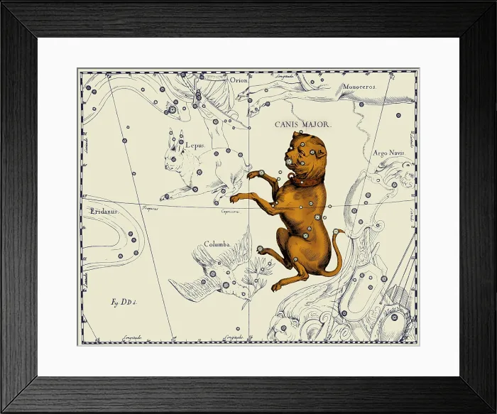 Framed Print : Canis Major Constellation, 1687