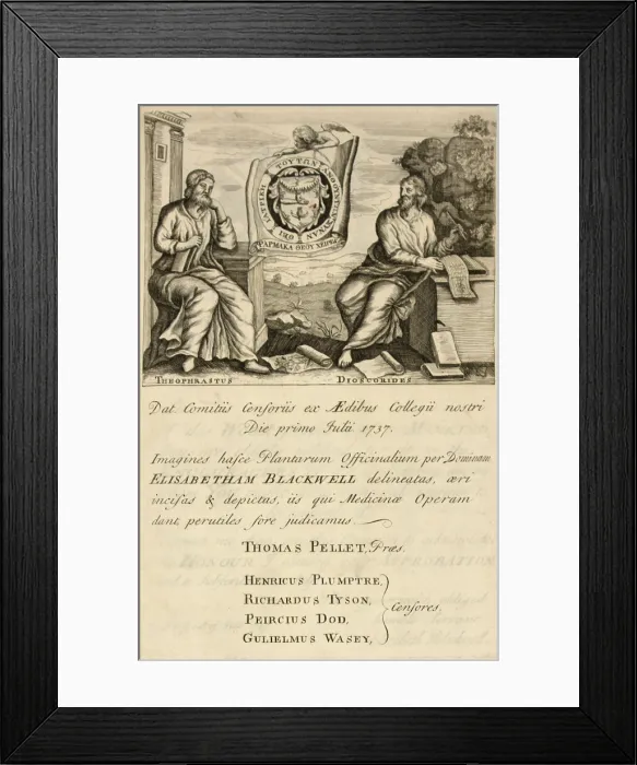 Framed Print : 'A Curious Herbal', Frontispiece, 1737