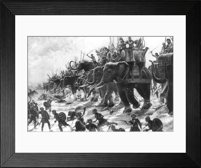 Framed Print : North Africa, Battle of Zama, 202 BC Framed Print : North Africa, Battle of Zama, 202 BC