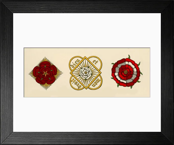 Framed Print : Rose illustrations from Parker's Annales of England Framed Print : Rose illustrations from Parker's Annales of England