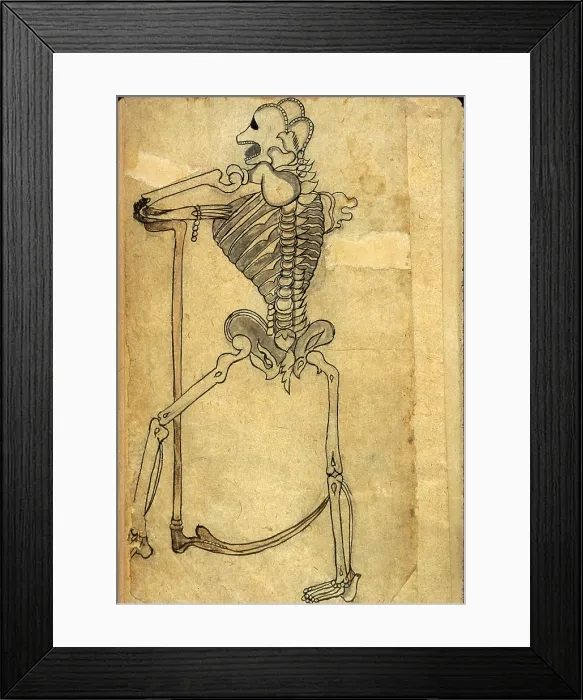 Framed Print : Akbar's Medicine, Persian Anatomical Skeleton Framed Print : Akbar's Medicine, Persian Anatomical Skeleton