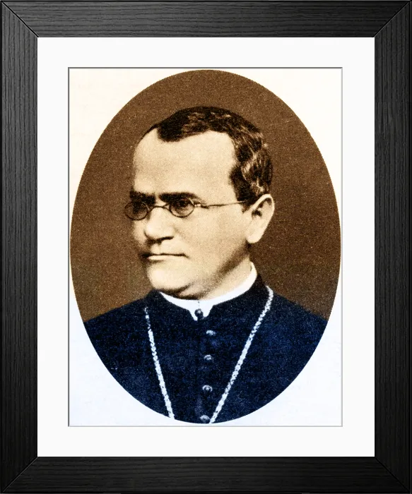 Framed Print : Gregor Mendel, Father of Genetics