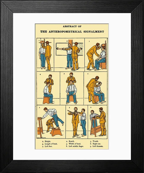 Framed Print : The Anthropometrical Signalment, 1896 Framed Print : The Anthropometrical Signalment, 1896