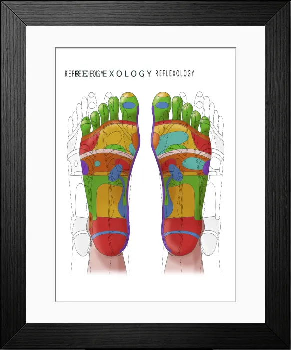 Framed Print : Reflexology, Illustration Framed Print : Reflexology, Illustration