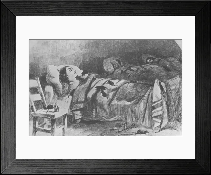 Framed Print : Conditions in Bellevue Hospital, New York Framed Print : Conditions in Bellevue Hospital, New York