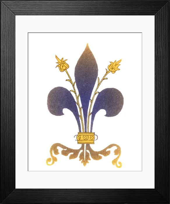 Framed Print : Fleur-de-Lis