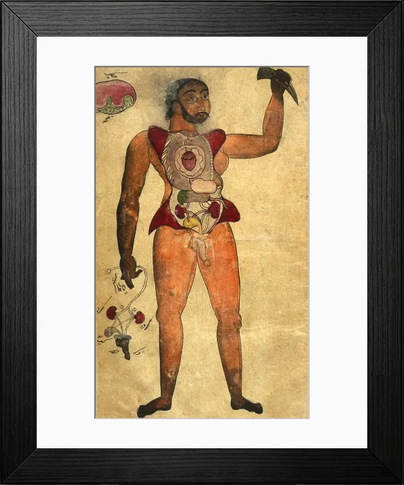 Framed Print : Akbar's Medicine, Persian Anatomical Man Framed Print : Akbar's Medicine, Persian Anatomical Man