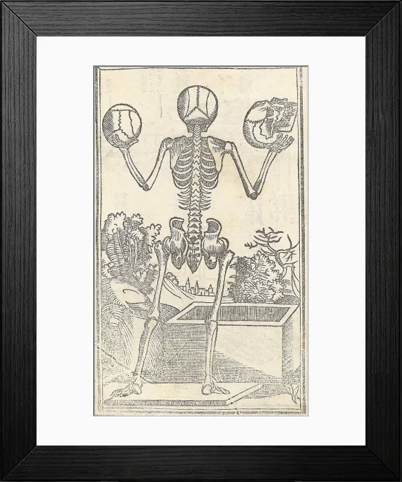 Framed Print : Jacopo Berengario da Carpi, Anatomy Framed Print : Jacopo Berengario da Carpi, Anatomy