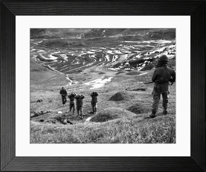 Framed Print : Korean War, POWs, 1951 Framed Print : Korean War, POWs, 1951