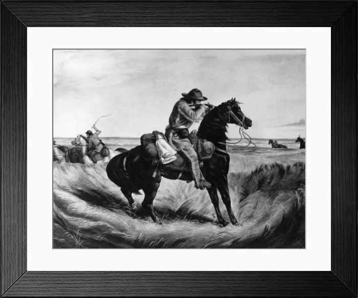 Framed Print : Prairie Battle Framed Print : Prairie Battle