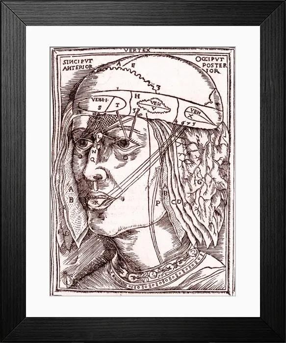 Framed Print : Layers of the Brain Framed Print : Layers of the Brain