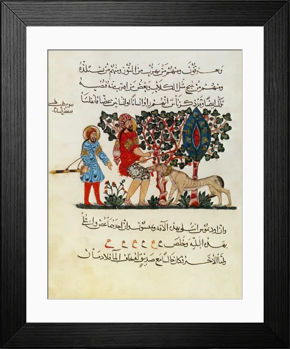 Framed Print : Dioscorides, 'De Materia Medica', 13th Century Framed Print : Dioscorides, 'De Materia Medica', 13th Century