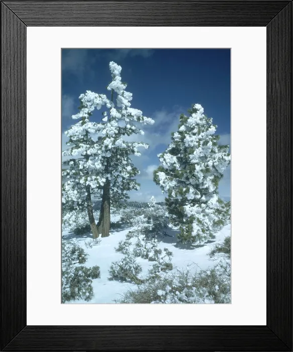 Framed Print : Fraizer Mountain Park Framed Print : Fraizer Mountain Park